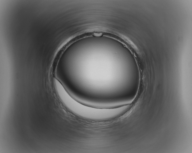 X0000115760877200911201156