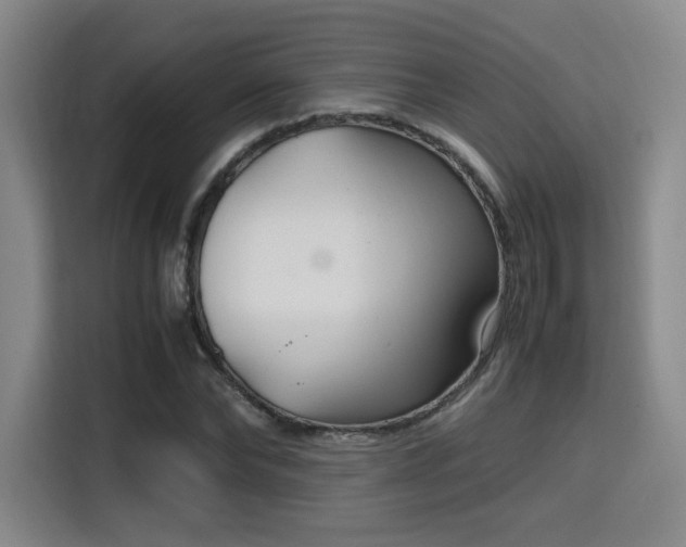X0000115760878200911201156