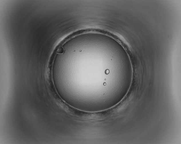 X0000115760879200911201156