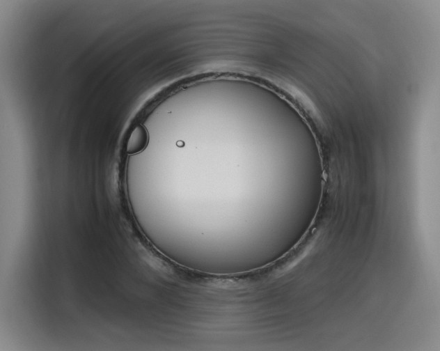 X0000115760880200911201156