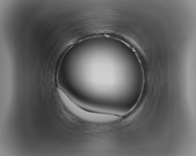 X0000115760881200911201156