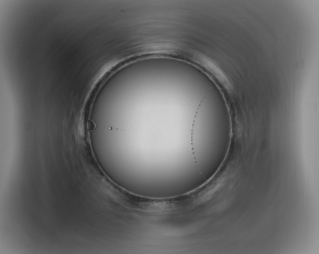 X0000115760883200911201156