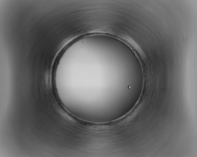 X0000115760884200911201156