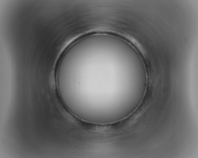 X0000115760887200911201156