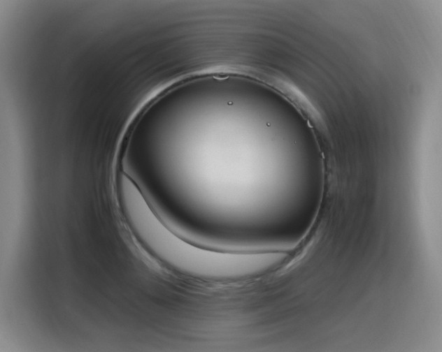X0000115760892200911201156