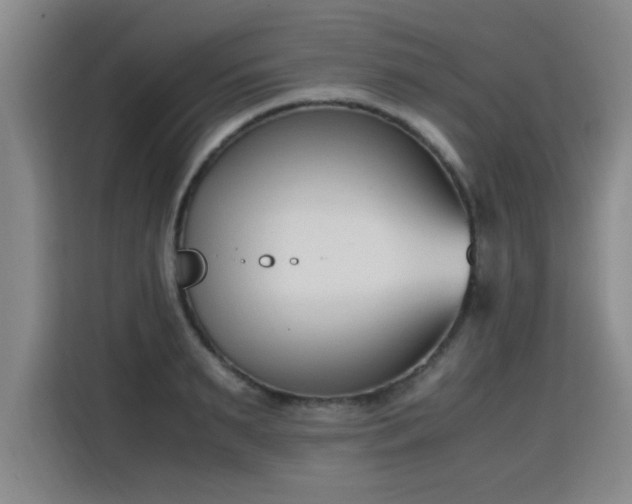 X0000115760895200911201156