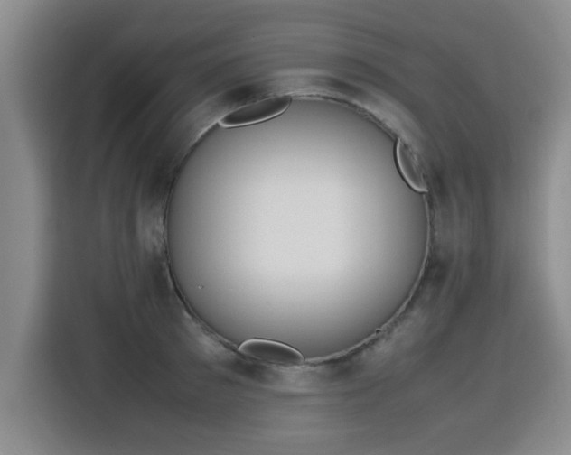 X0000115760897200911201156