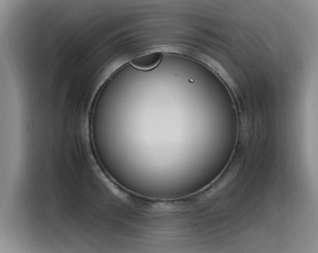 X0000115760898200911201156