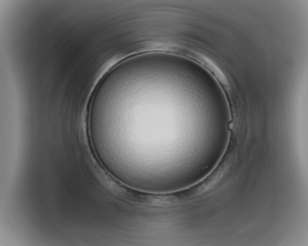 X0000115760899200911201156