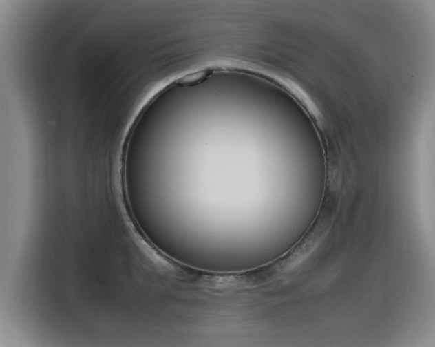 X0000115760903200911201156