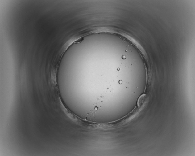 X0000115760905200911201156