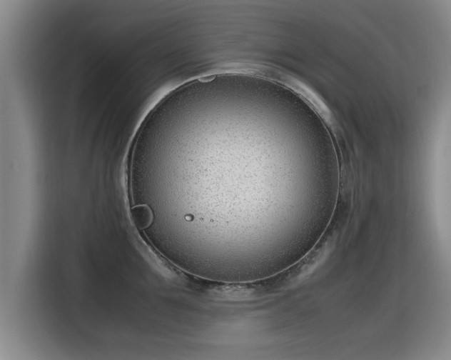 X0000115760907200911201156