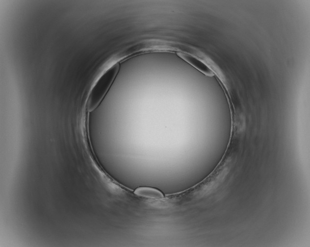 X0000115760909200911201156