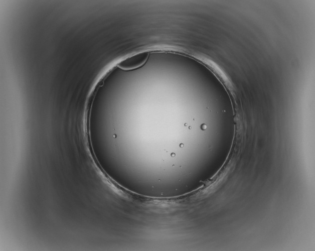 X0000115760910200911201156