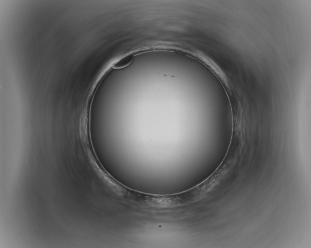 X0000115760911200911201156