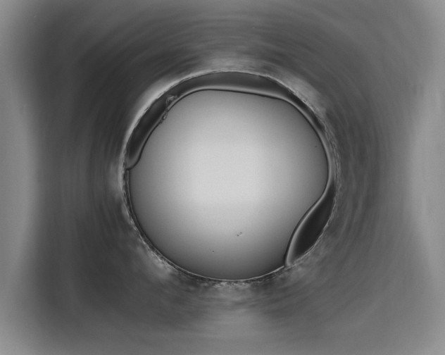 X0000115760912200911201155