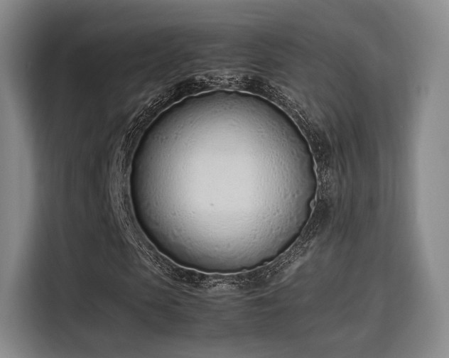 X0000115760913200911201155