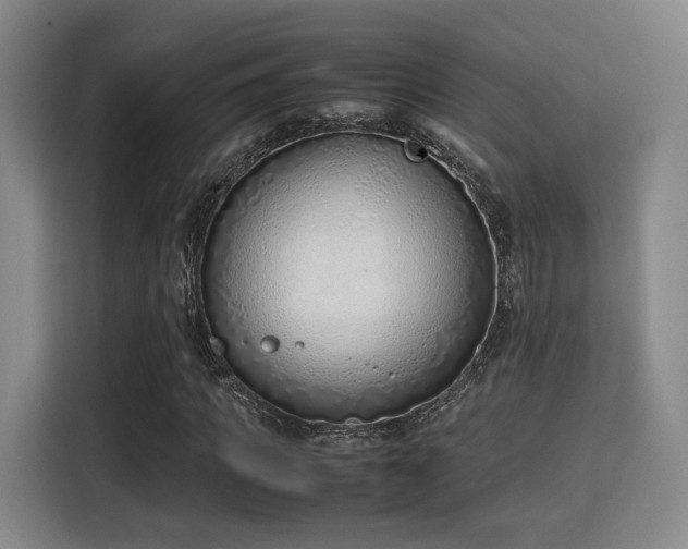 X0000115760917200911201155
