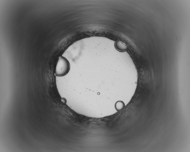X0000115760918200911201155