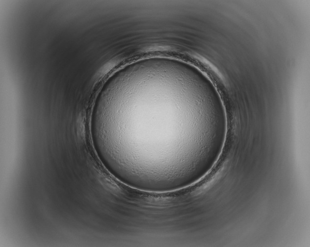 X0000115760921200911201155