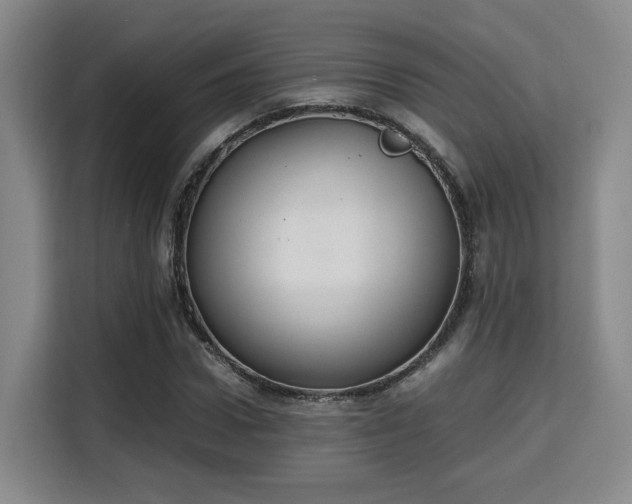 X0000115760922200911201155