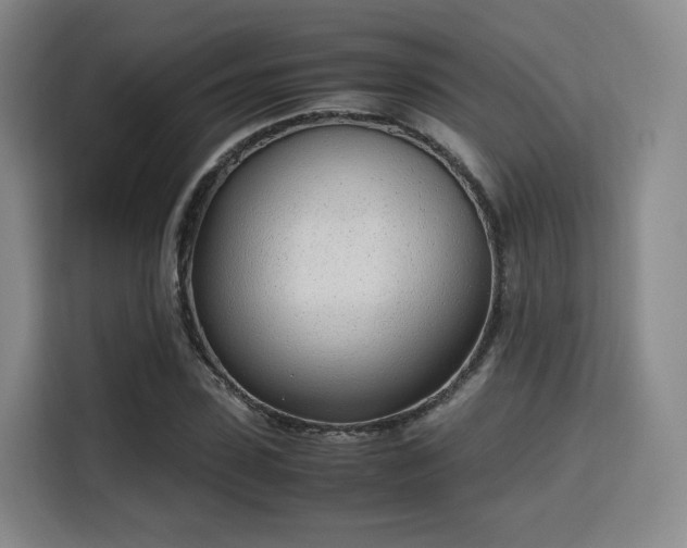 X0000115760923200911201155