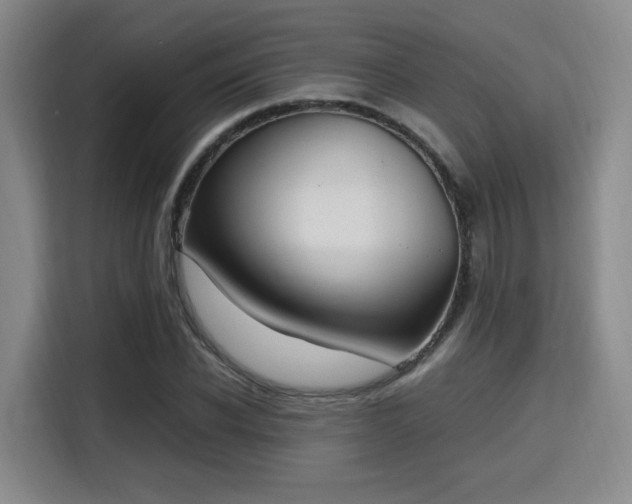 X0000115760926200911201155