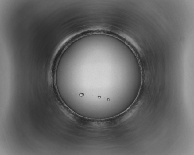 X0000115760927200911201155