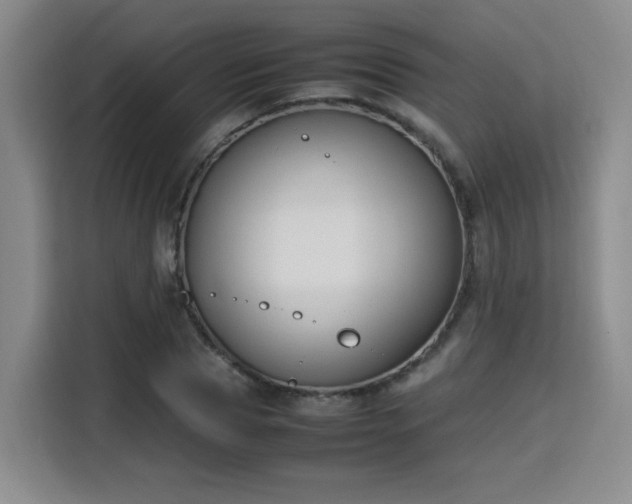 X0000115760929200911201155