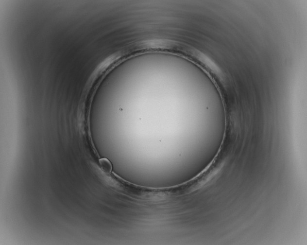 X0000115760930200911201155