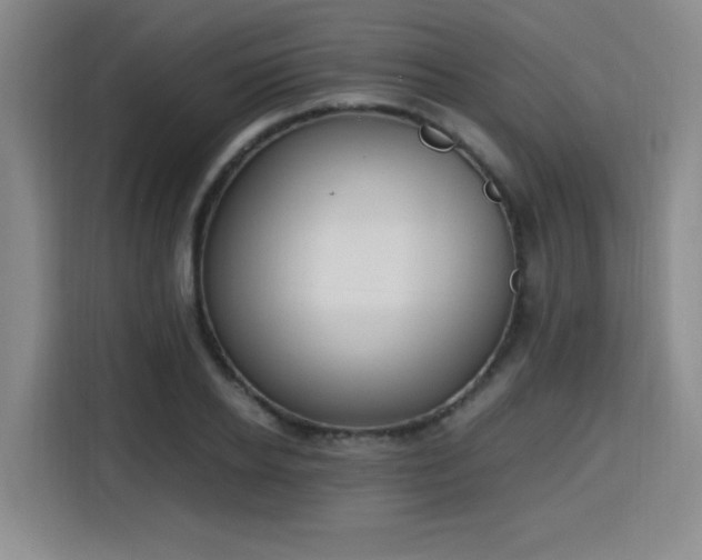 X0000115760934200911201155