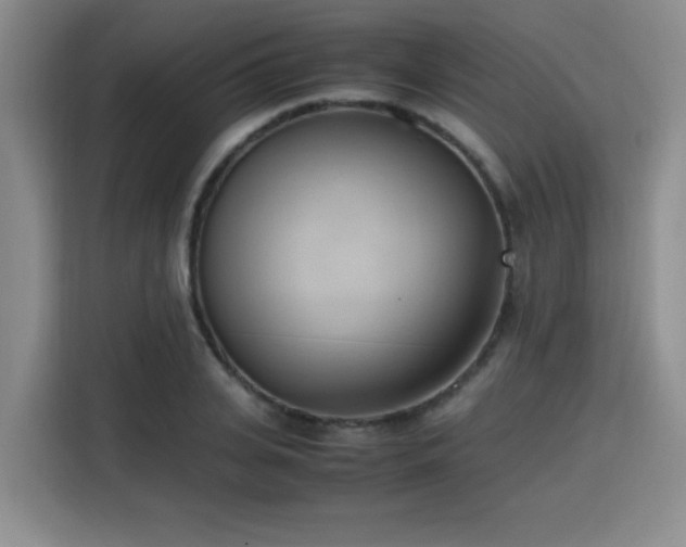 X0000115760935200911201155