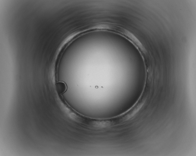 X0000115760939200911201155