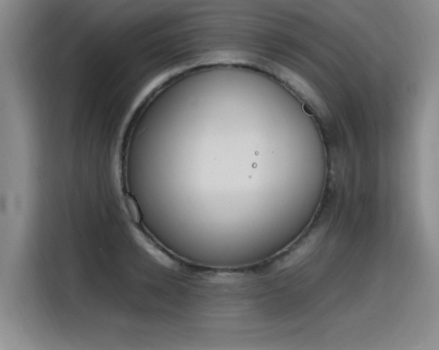 X0000115760942200911201155