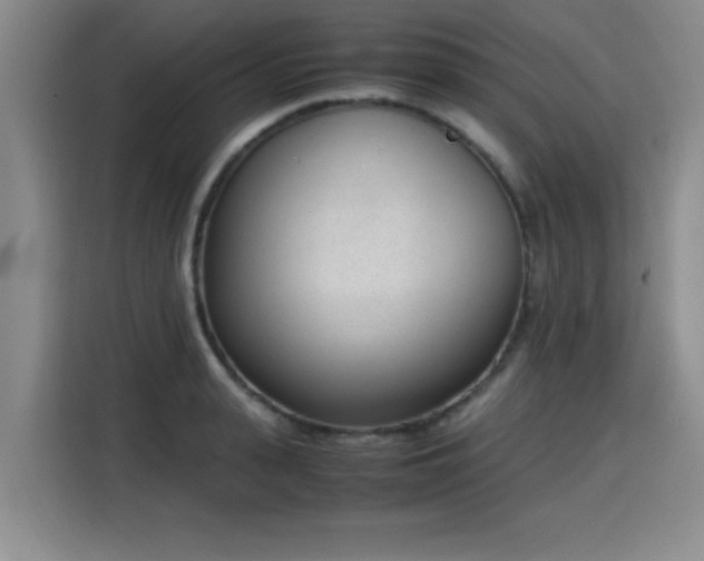 X0000115760943200911201155
