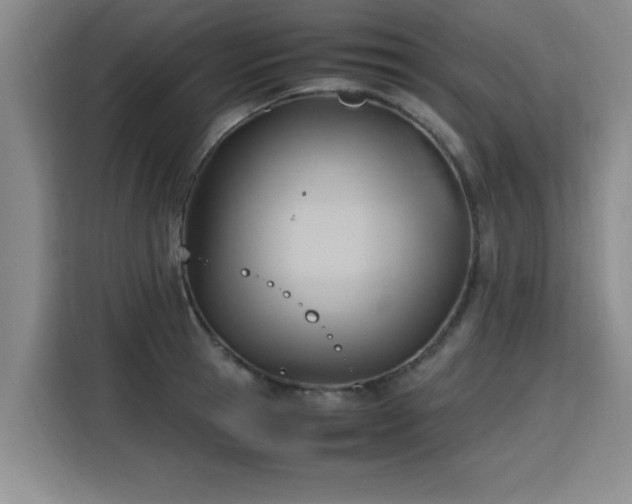 X0000115760945200911201155