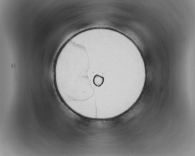 X0000115760950200911201155