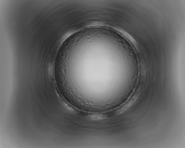 X0000115760953200911201155
