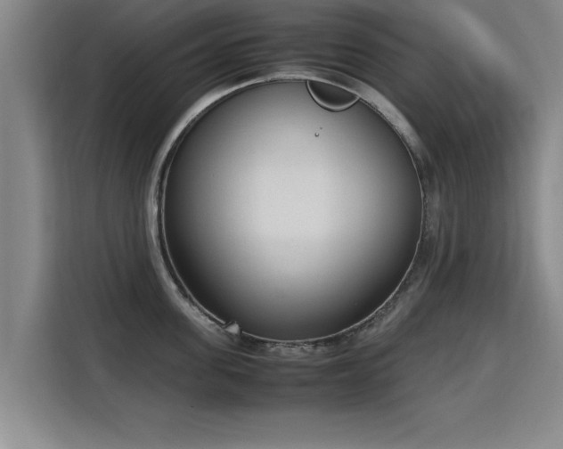 X0000115760955200911201155