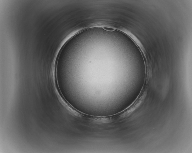 X0000115760957200911201155