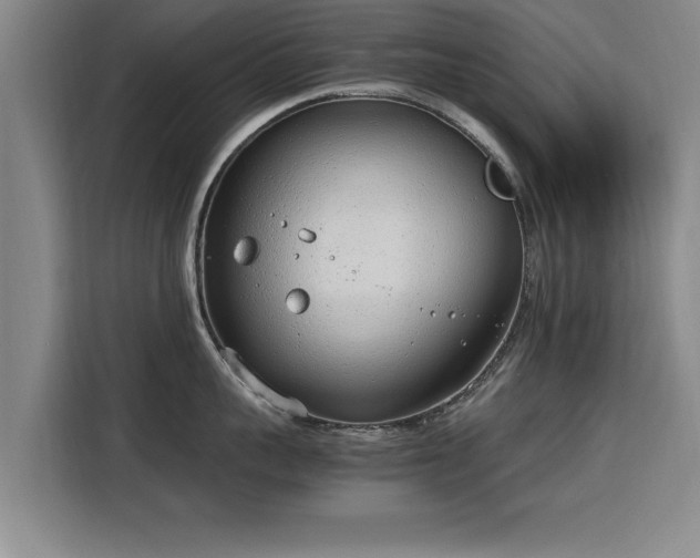 X0000115760959200911201155