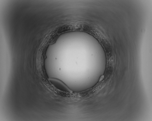 X0000115760961200911201155