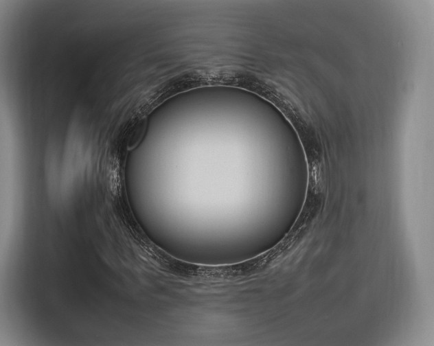 X0000115760963200911201155