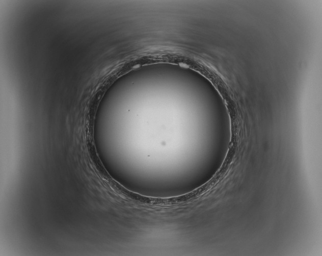 X0000115760965200911201155