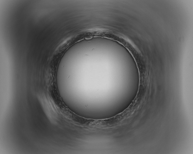 X0000115760967200911201155