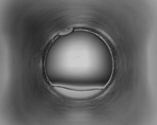 X0000115760969200911201155