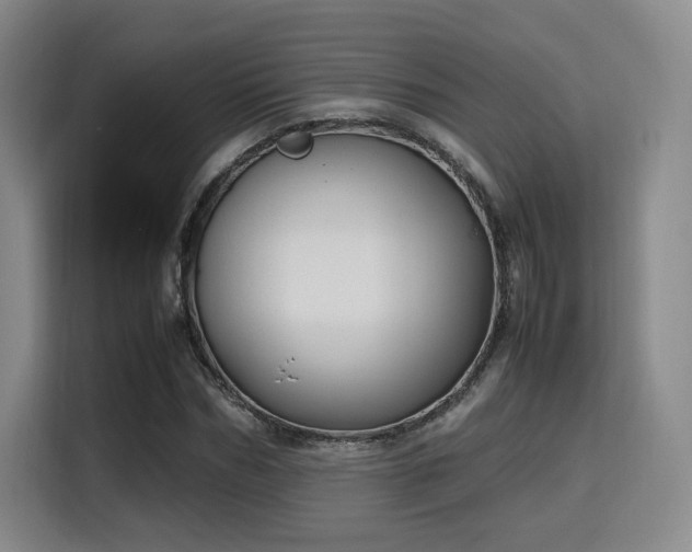 X0000115760970200911201155