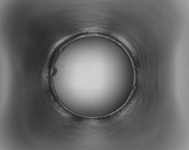 X0000115760971200911201155