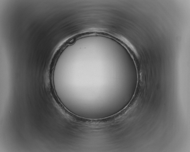 X0000115760972200911201155