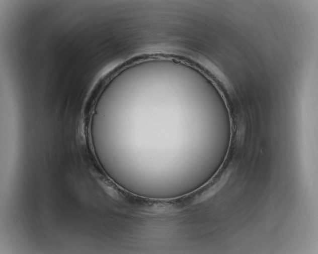 X0000115760974200911201155